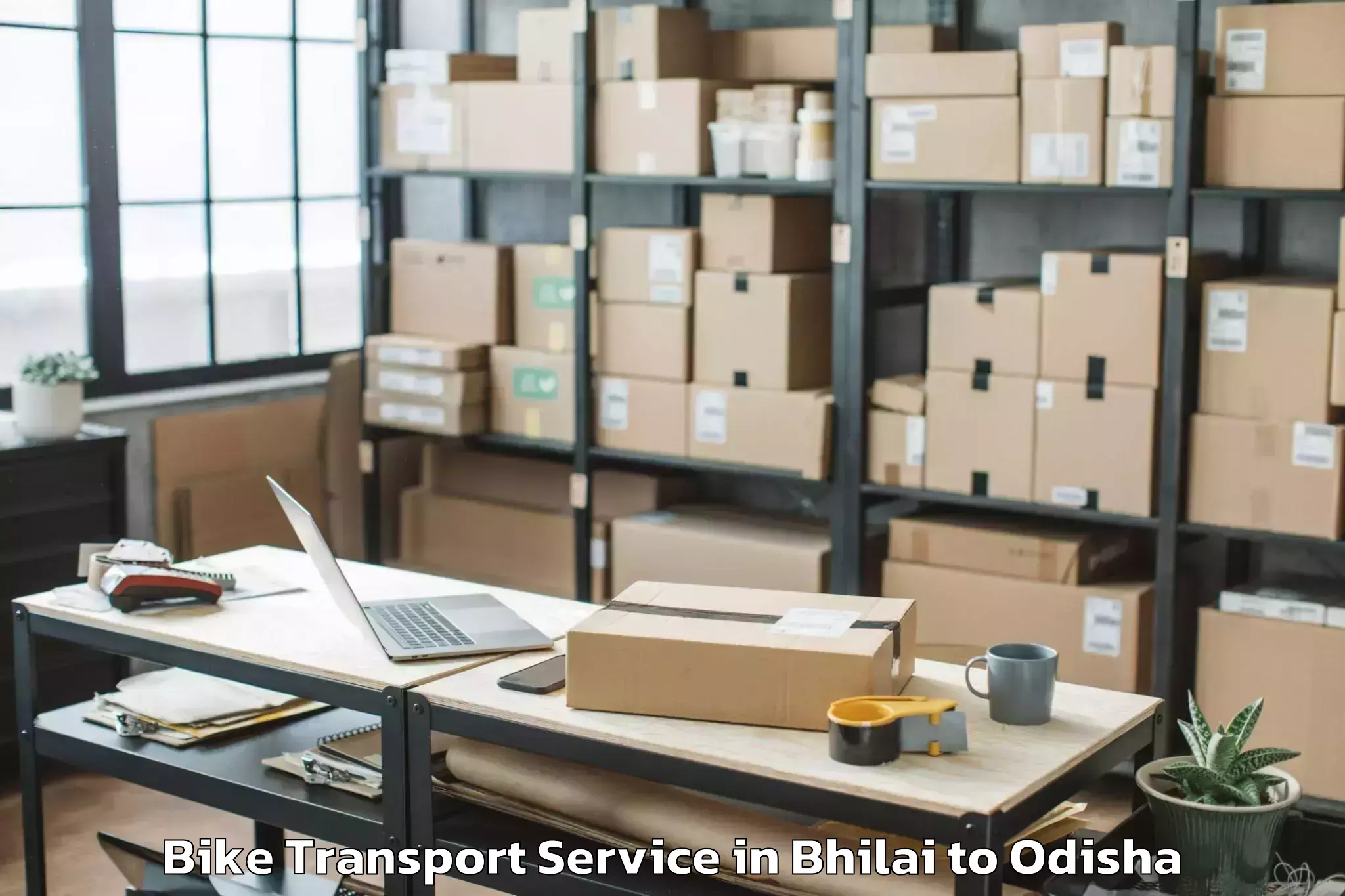 Hassle-Free Bhilai to Hirakud Bike Transport